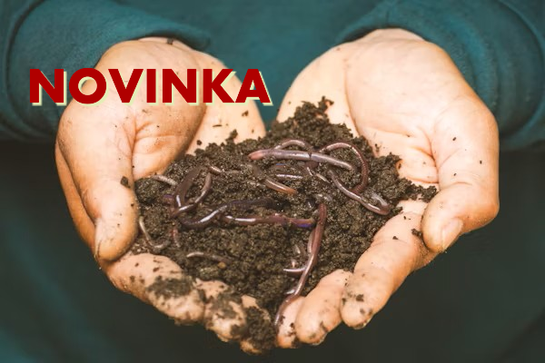 Na den žížalou