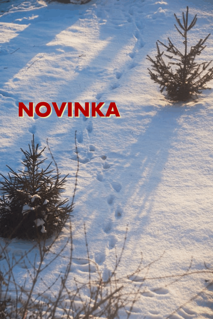 Zimní stopovačka